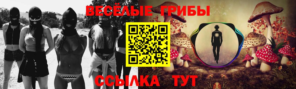 Галлюциногенные грибы Cubensis  Галлюциногенные грибы Psilocybe  Аргун  Вход с VPN 