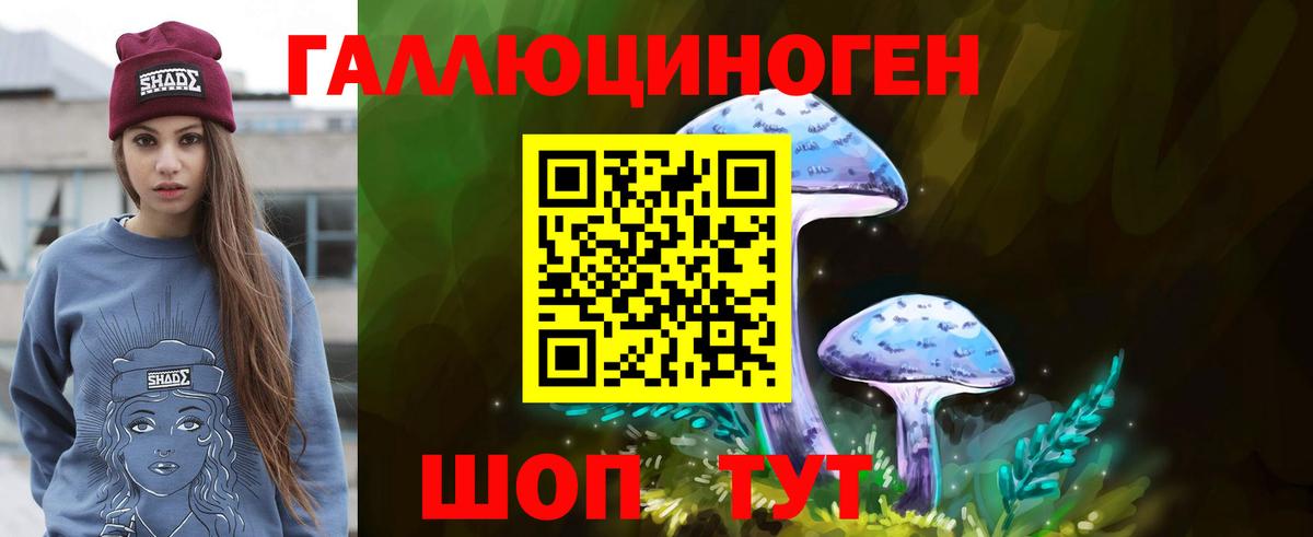 Галлюциногенные грибы Magic Shrooms Аргун